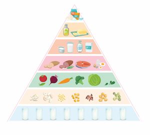 Với phân tầng dinh dưỡng của mình, các đối tượng khi sử dụng tháp dinh dưỡng cần lưu ý