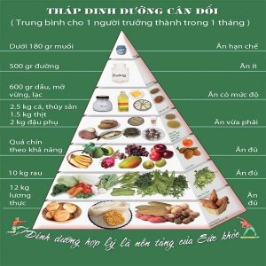 Tháp dinh dưỡng theo khoa học được hiểu là kim tự tháp thể hiện lượng thực phẩm cần tiêu thụ