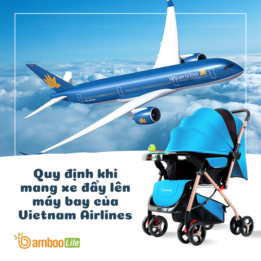 Quy định của Vietnam Airlines