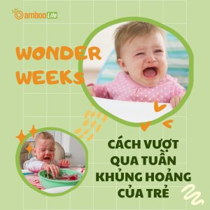 Bí kíp vượt qua tuần khủng hoảng của trẻ (Wonder Weeks)