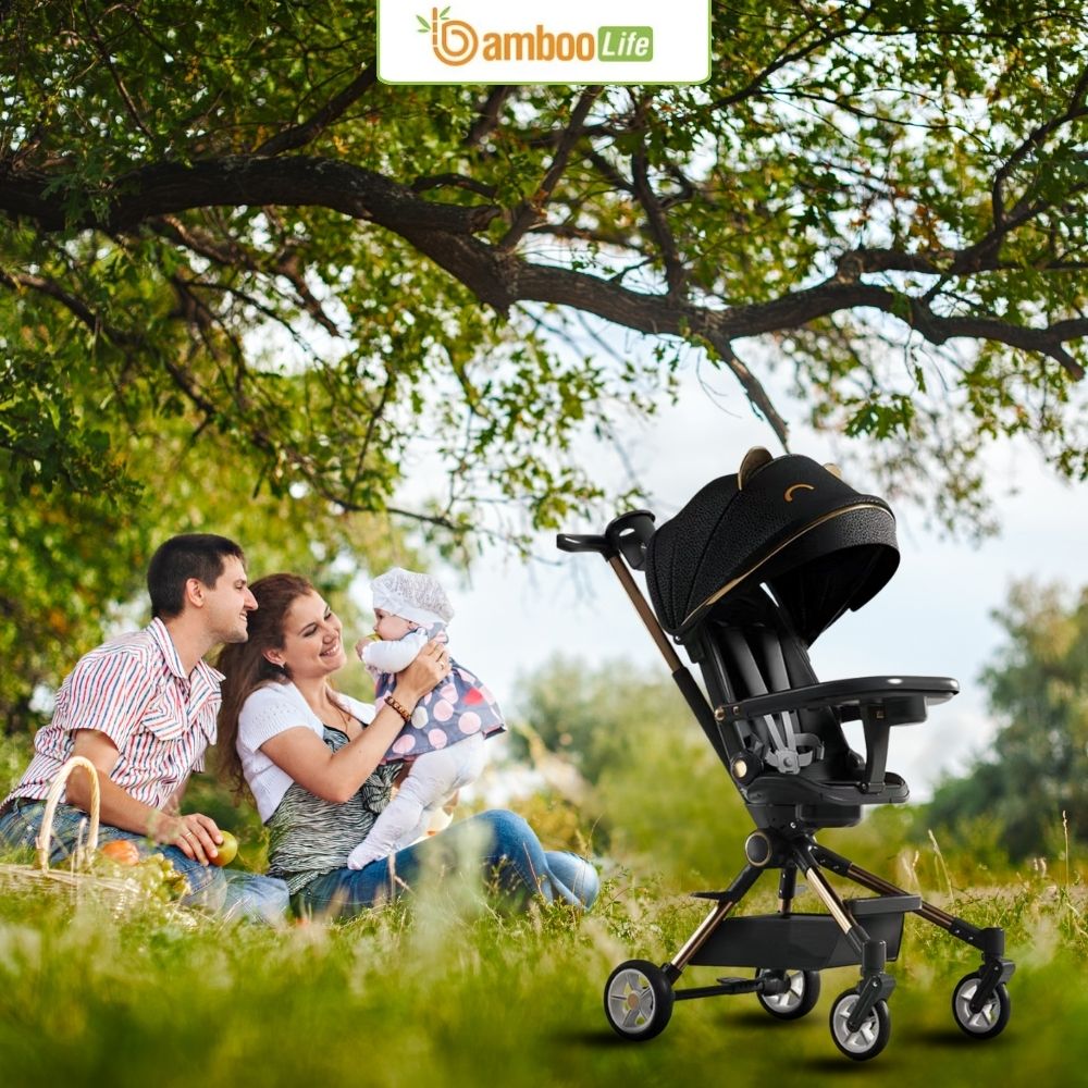 Xe đẩy cần thiết khi gia đình hay ra ngoài