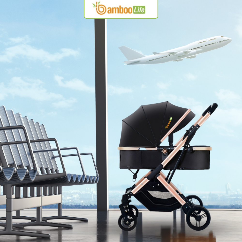 Xe đẩy lên máy bay giúp bé an toàn, mẹ thuận tiện