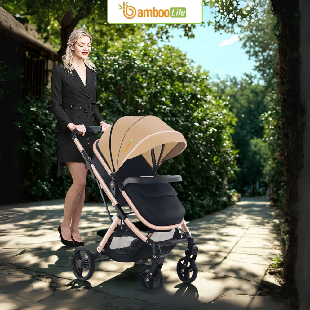 Đi du lịch thiếu xe đẩy tháo lắp nhanh gây vất vả, bất tiện