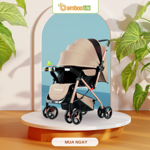 Xe đẩy chính hãng dùng vật liệu đạt chuẩn mang lại sự an toàn tuyệt đối