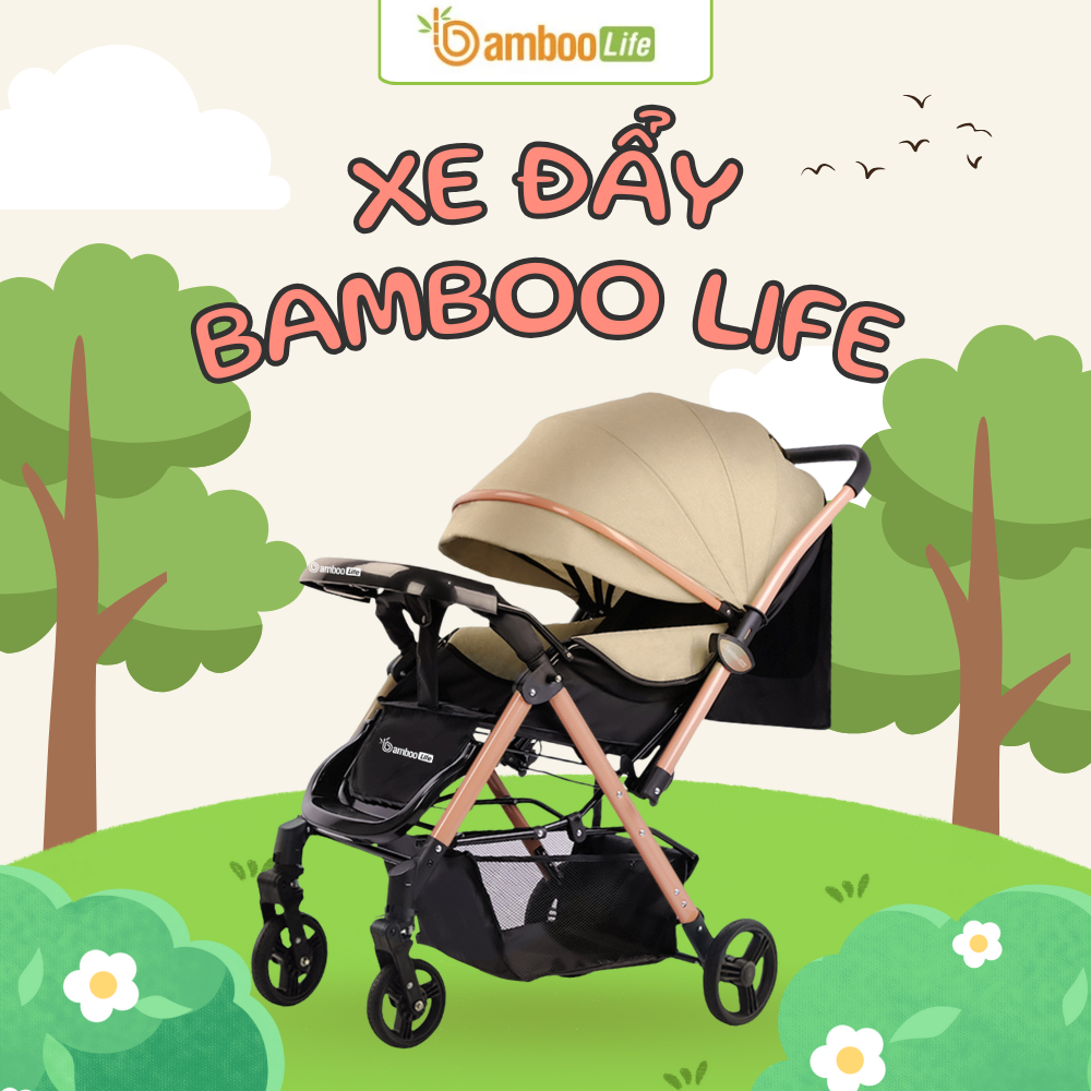 Xe đảo chiều thông minh giúp con quan sát thế giới trọn vẹn