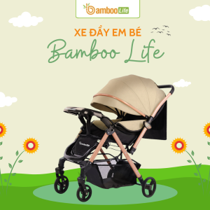 Mỗi dòng xe đẩy cho trẻ sơ sinh đều đem lại lợi ích riêng