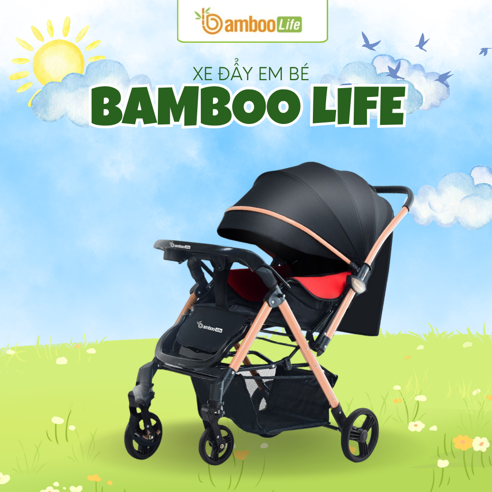 Chọn xe đẩy đúng giúp dùng lâu dài tiết kiệm