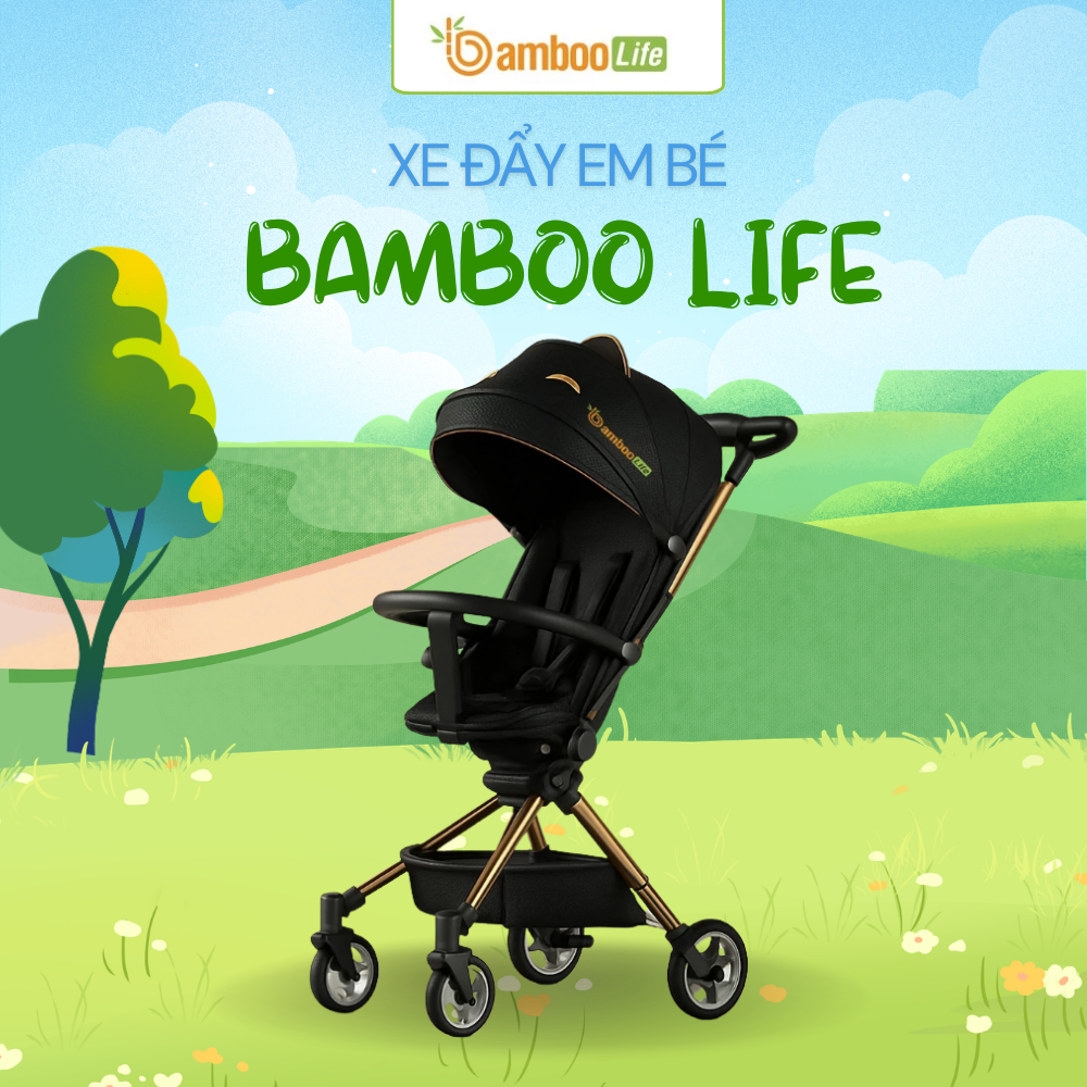 Xe đẩy em bé được thiết kế đa dạng để đáp ứng nhiều nhu cầu
