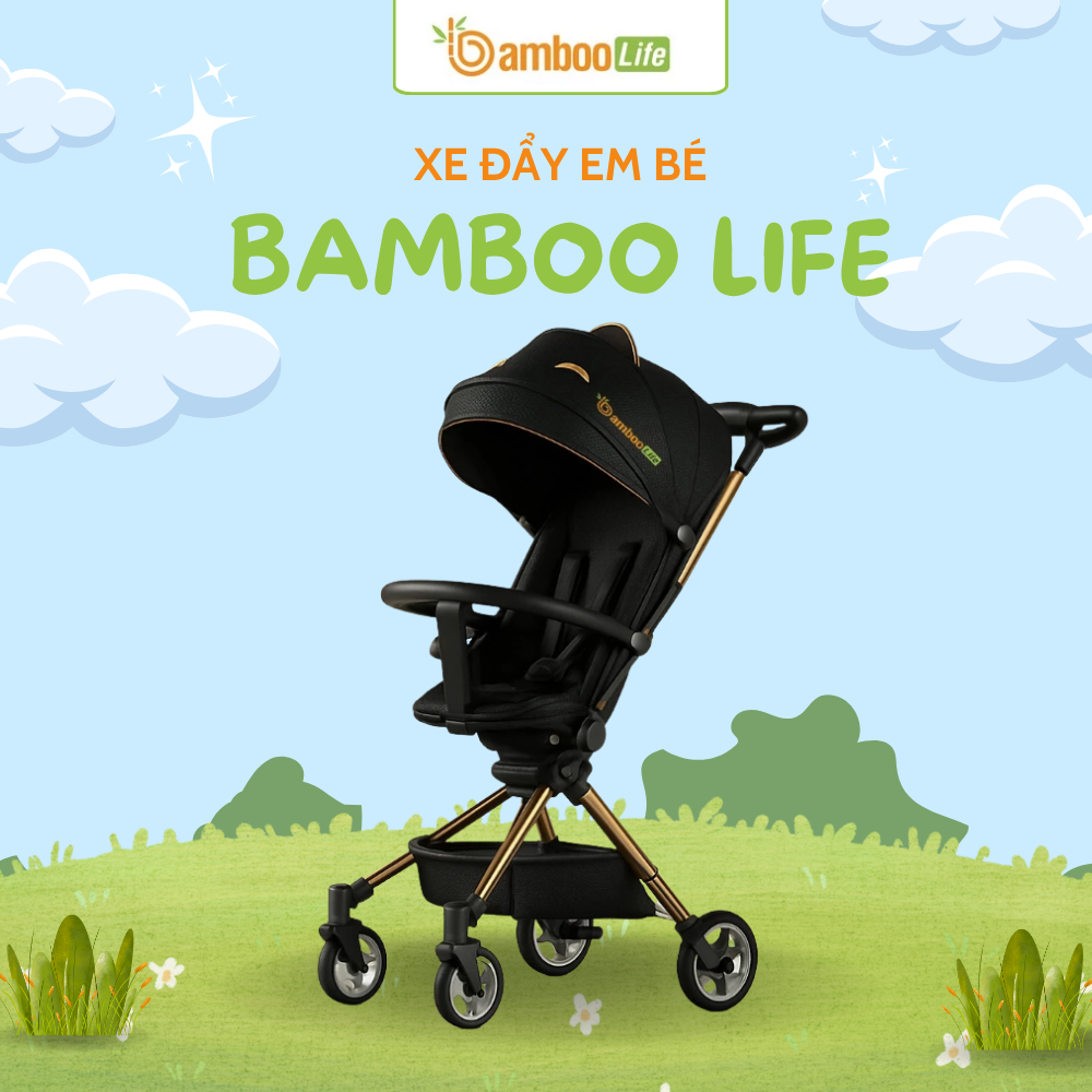 Xe đẩy cao cấp mang lại sự an toàn, êm ái và tiện lợi