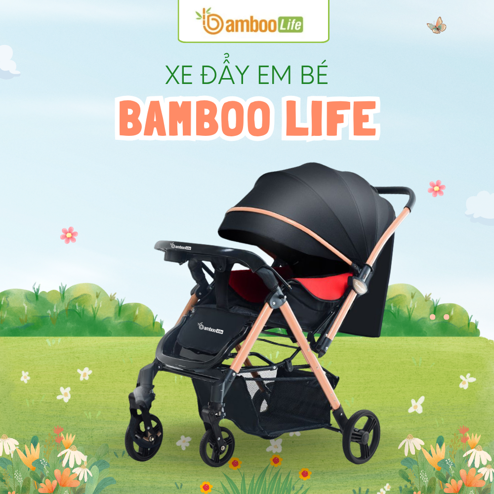Xe đẩy sơ sinh chất lượng giúp bảo vệ bé an toàn tuyệt đối