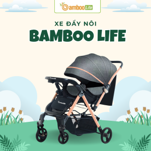 Xe nôi gấp gọn giúp mẹ rảnh tay và bảo vệ bé an toàn